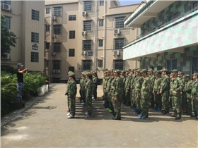 牛商家人變牛商戰(zhàn)士 牛商家人變牛商戰(zhàn)士